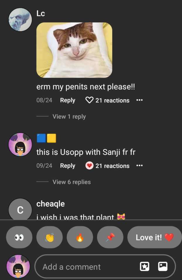 Tumblr media