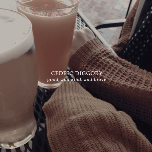 ssiriusblack:“Today we acknowledge a really terrible loss. Cedric Diggory was as you all know, excep