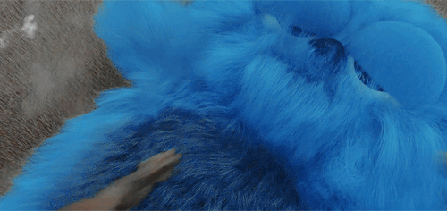 thefingerfuckingfemalefury:wicked-chocolatine:Beebo in « The Good, The Bad and The Cuddly »ACCEPT BE