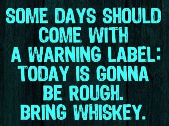 roadies-mystery-tour:  angelonfire77:  tenderlyfuzzybeard:  msbewitching-redux:    So true 🤦🏼‍♂️  Amen and pass the bottle @tenderlyfuzzybeard   🥃🥃🥃