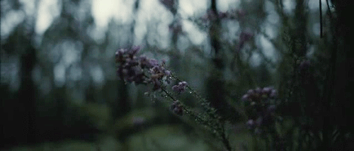 miss-insomnia: