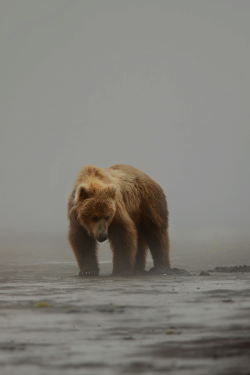 Wearevanity:  Fog On The Flats // By  Nate Zeman // Wearevanity  