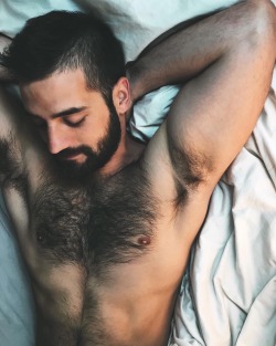 bearlywill.tumblr.com post 154565629891