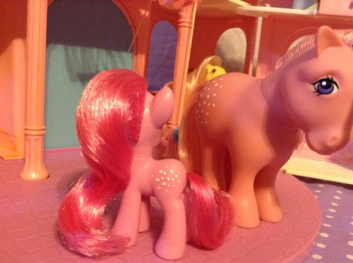 stargleamer:I made a G4 -> G1 Cotton Candy for my CC pony army -u-  Considering giving he new h