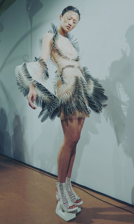 iris van herpen