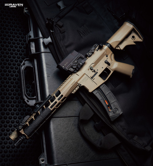 FDE Compact Raven in 22LR