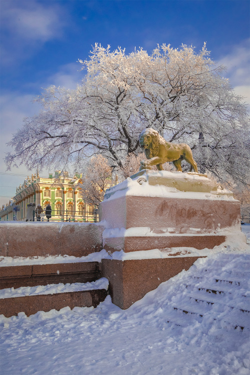 Frosty sunny day in St. Petersburg- More Saint Petersburg here
