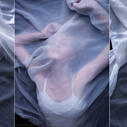 Bailey Under Her Shroud, 2014