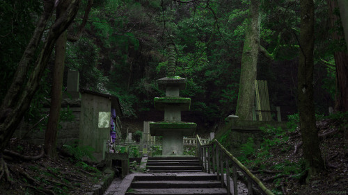 liamwon9: Matcha green forests in Kyoto, Japan Liam Wong / www.twitter.com/liamwong