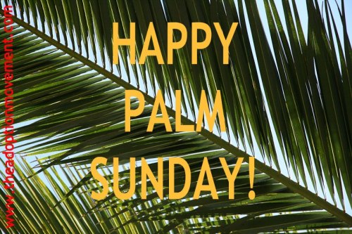 hapy palm sunday