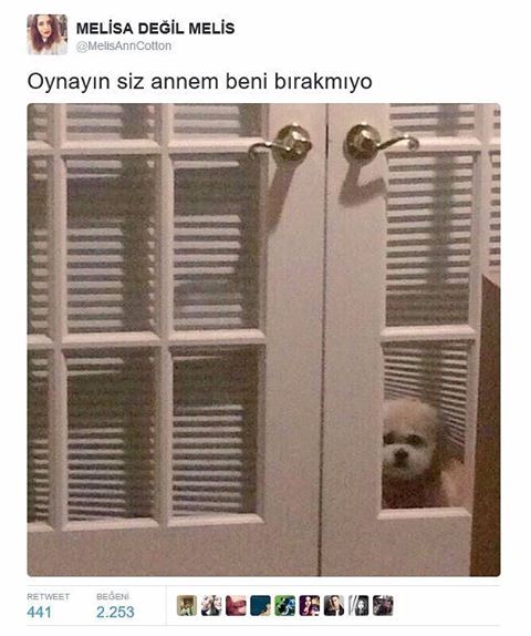 Oynayın siz annem beni bırakmıyo