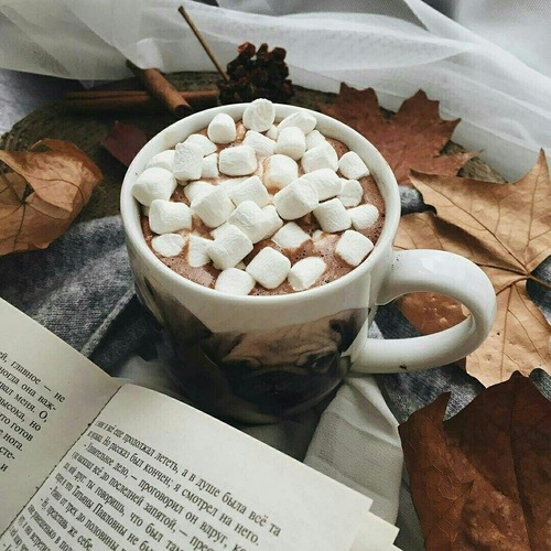 b1ythe:more fall here || hot chocolate || via weheartit
