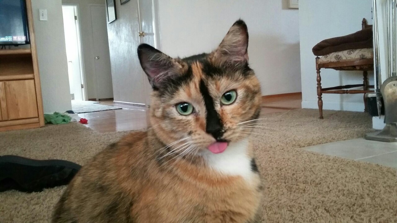 Blep