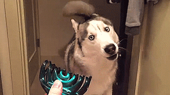 xxxnewstitch:Terror