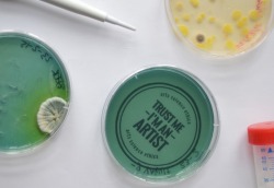 New Project: “Trust Me, I’m an Artist: Developing Ethical Frameworks for Artists, Cultural Institutions and Audiences Engaged in the Challenges of Creating and Experiencing New Art Forms in Biotechnology and Biomedicine in Europe”.  This new project...