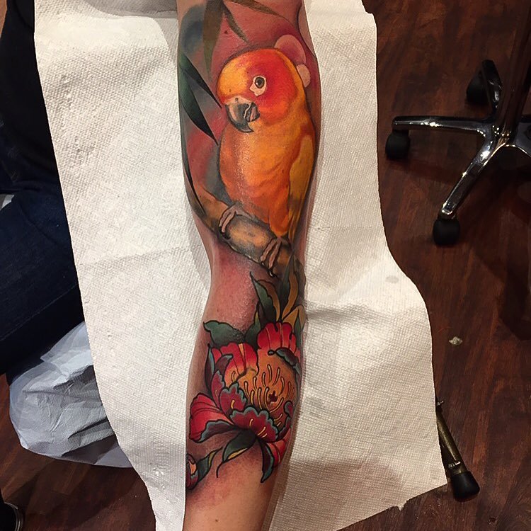 Parrot  Parrot tattoo Tattoos Feather tattoos