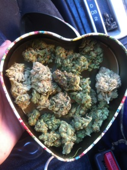 stoners-euphoria:  if i ever get anything for valentines day, it better be this. 