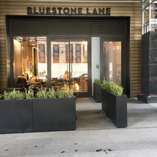 Bluestone Lane Hudson Yards.