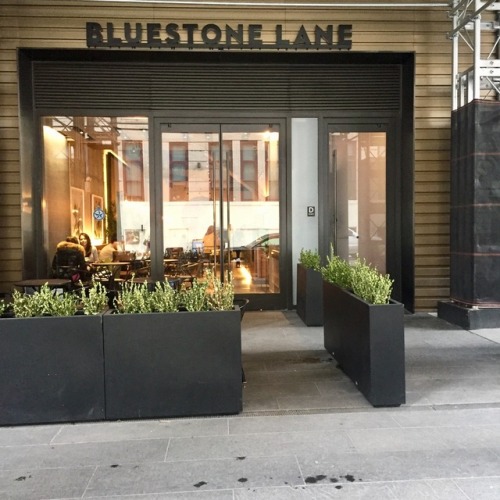 Bluestone Lane Hudson Yards.