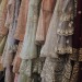 madame-bavarian-cream:Dresses from Pakistan