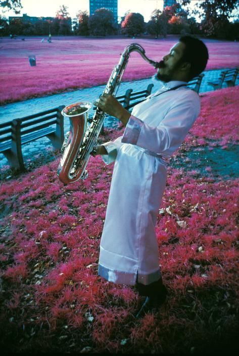 albert ayler