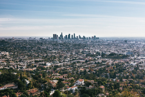 &ldquo;He told us another day that views are really crowds &ndash; crowds of trees and house