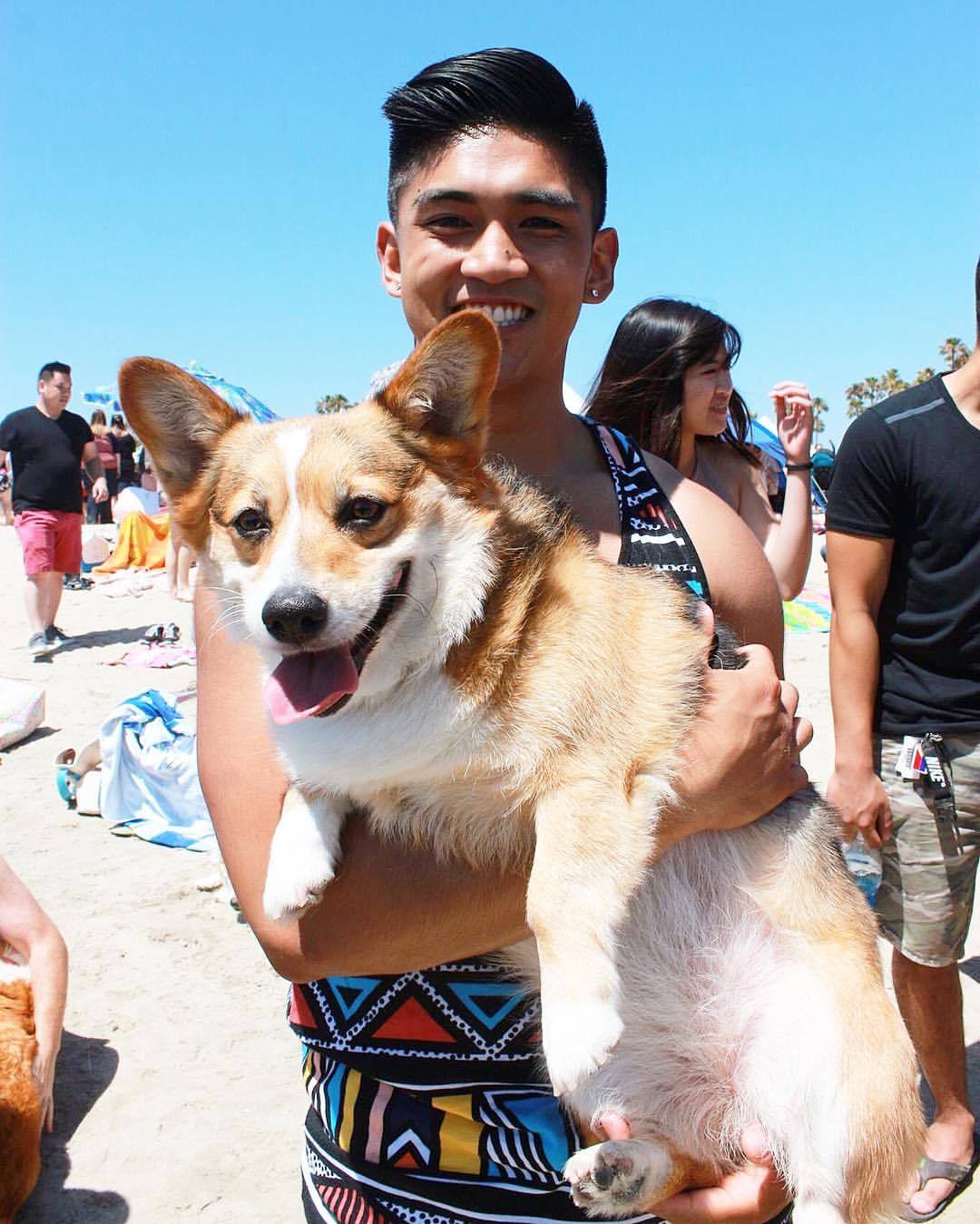 😁Summer fun in the sun at Corgi Heaven! 💕 #corgi #beach (at Socal Corgi Nation