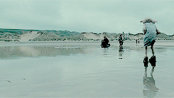 folkstellar:  Happiness can be found, even in the darkest of times, if one only remembers