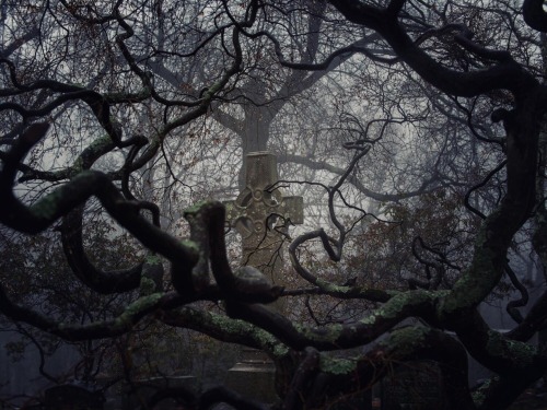 alluringabyss - Sleepy Hollow CemeteryPhotography by Alexandria...