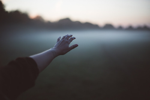 foxmouth:  Photography, 2015 | by Julia Nimke 
