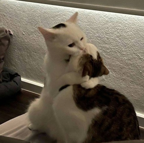 venus-its-me - Özge
