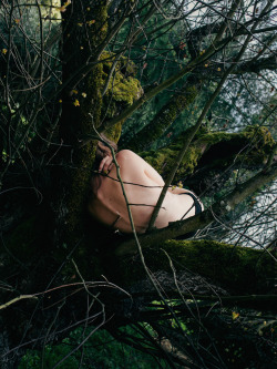 davidspixelchaos:  Laura in tree, 2015 