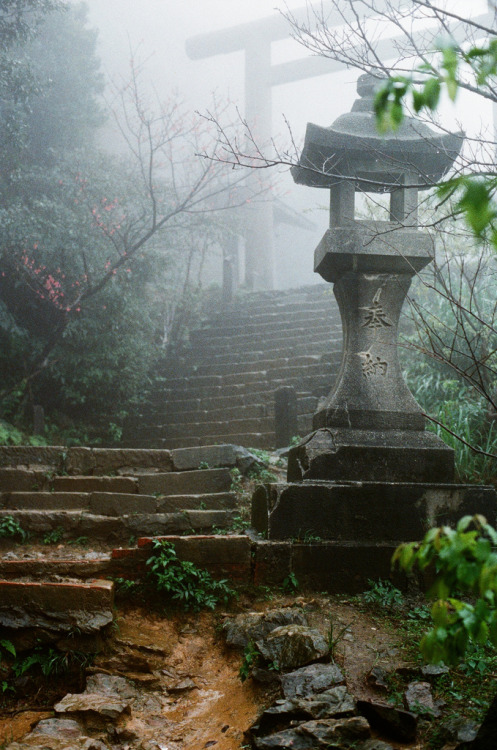 vainajala:Shinto torii, Japan.  by stark85