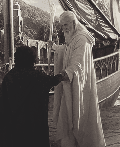 jimmytolans-blog:  lotr meme: ten scenes [10/10] → the grey havens 