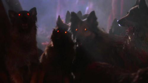 scr33ncaps: The Company of Wolves - Neil Jordan (1984)