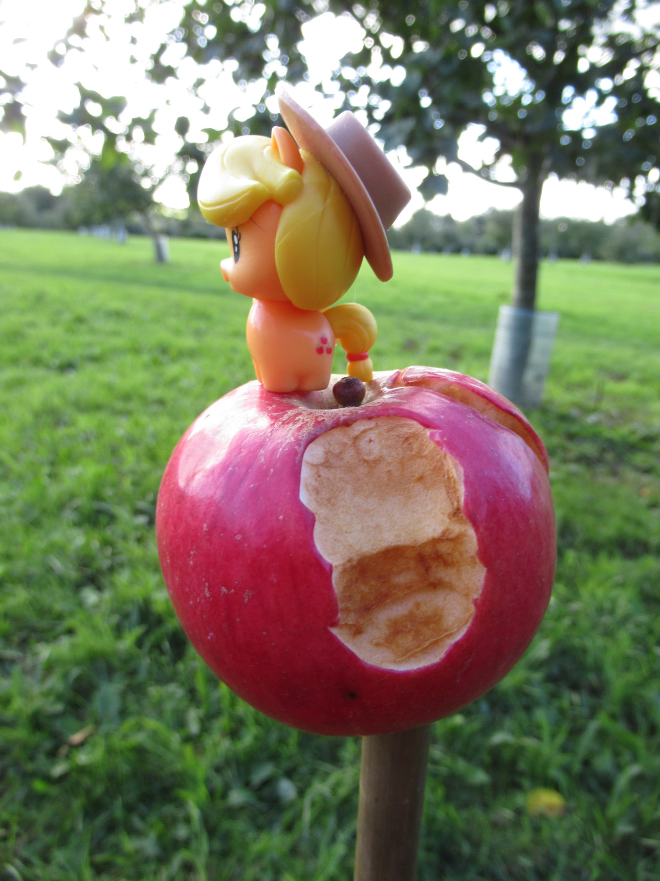my little pony applejack in orchard my little pony applejack in orchard