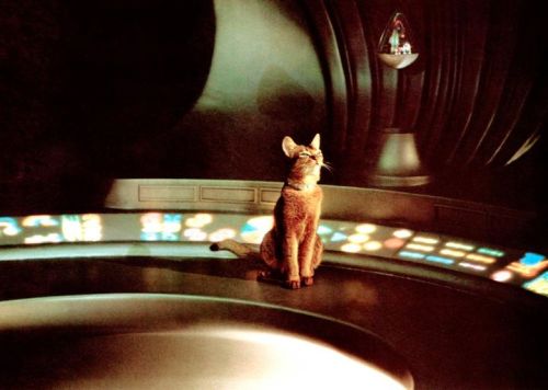 everythingstarstuff:    Disney’s “The Cat from Outer Space” - 1978  