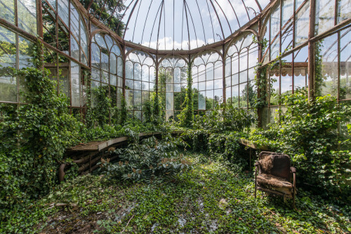 metallosporco: luxuria by romain veillon, abandon greenhouse lost somewhere in belgium overgrown by 
