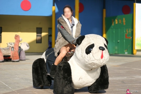 노팬으로 가을 소풍 떠나는 소라넷 노출녀