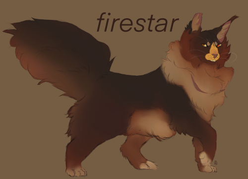 Firestar, From Thunder Clan