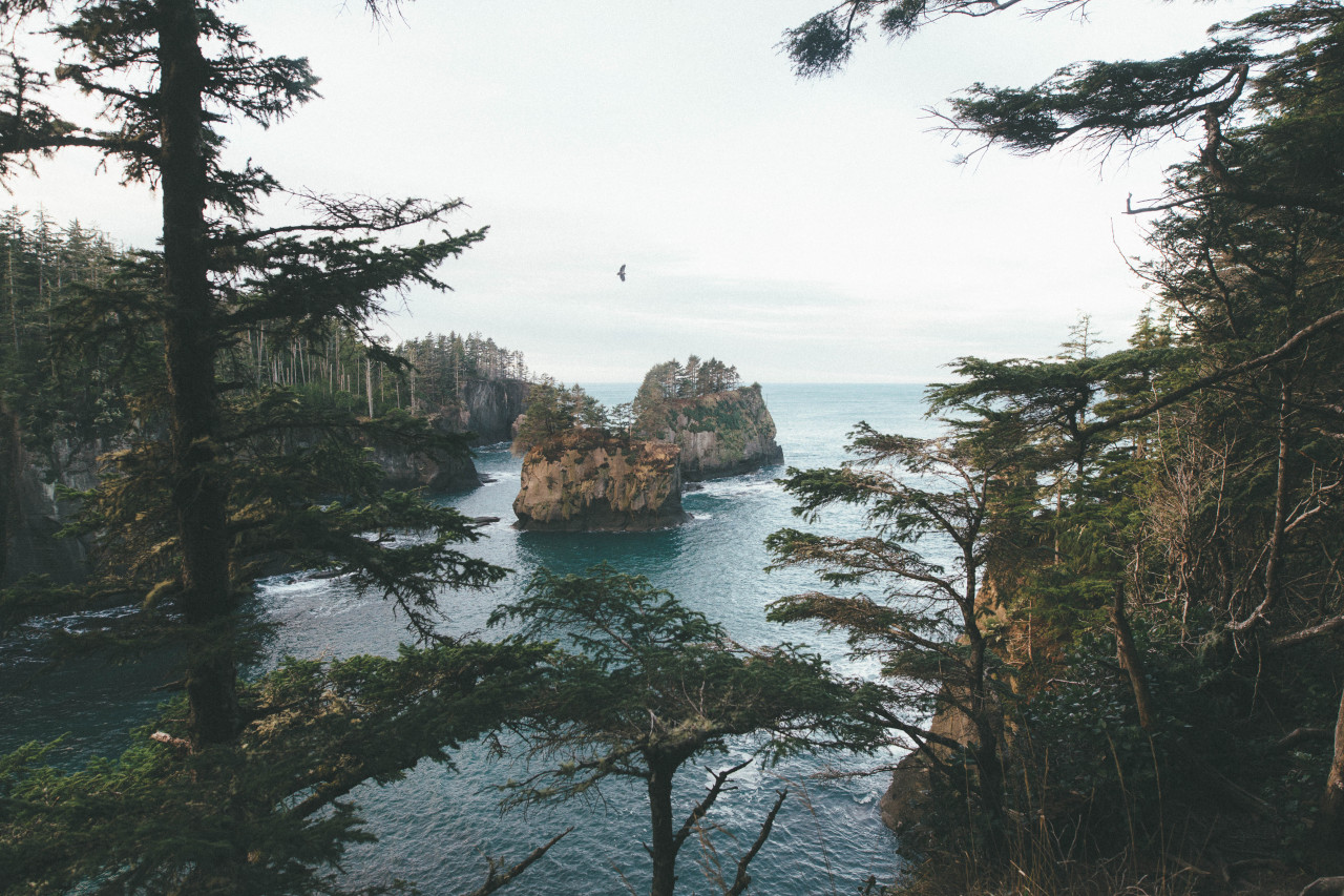 imbradenolsen:Cape Flattery, WA  Ugh I want to get out there before summer is over😒