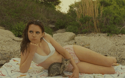 skinnynature:  moonrise kingdom
