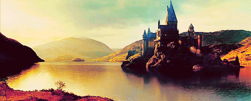 Lorenzo Berkshire X Muggle Born Gryffindor 