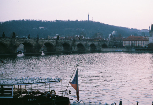 Prague - March, 2018Afga Vista 400 x Olympus OM-1prints | instagram