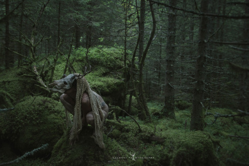 Porn woodland-sorcery:  ysambre-fauntography: photos