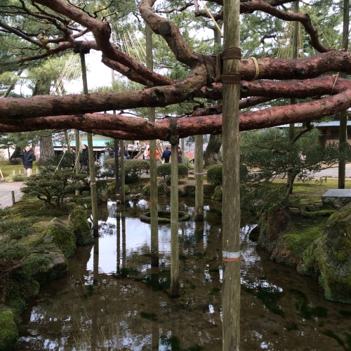 kenrokuen, kanazawa