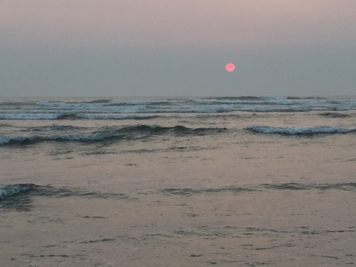 littleneptuneflower: this just happened at the beach. the wildfire smoke obscured the sun & it l