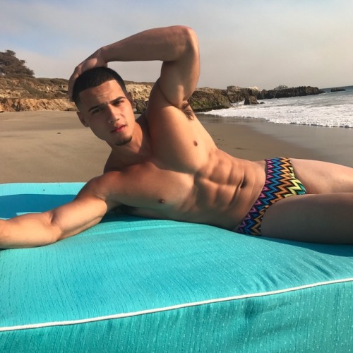 Another Gay Homosexual