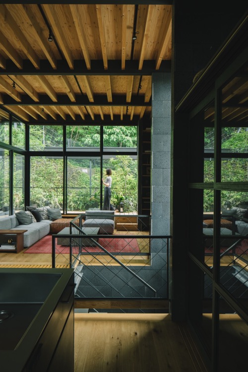 A Peaceful Japanese House Surrounded By Greenery [Video]