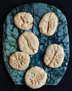 rhamphotheca:  Martha Stewart:  Fossil Cookies Know some hungry paleontologists? Let them dig into these artifacts. Food-safe plastic insects for making the imprints are available at createforless.com… (read recipe) (via: I fucking love science)